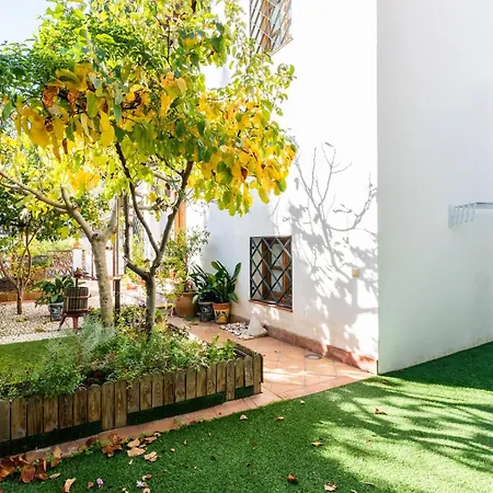 Comfort Breather - El Laurel Apartment *